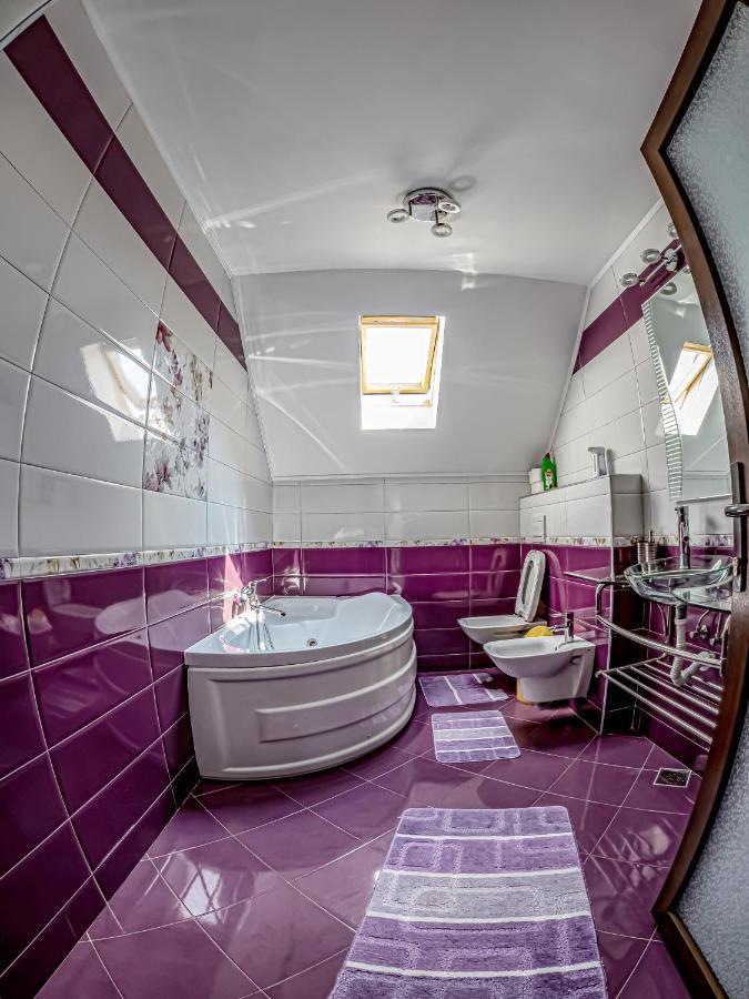 Casa Iulia Βίλα Pojorîta Εξωτερικό φωτογραφία