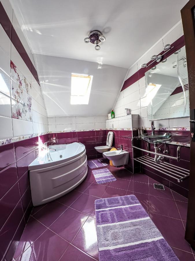 Casa Iulia Βίλα Pojorîta Εξωτερικό φωτογραφία